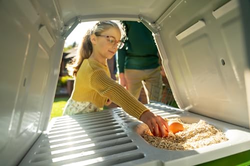 Image of Omlet Raised Chicken Coop Go Up | Easy to Clean and Maintain Plastic Chicken Tractor | Cool in Summer, Warm in Winter Weatherproof Hen House | Green Coop with 6ft Run