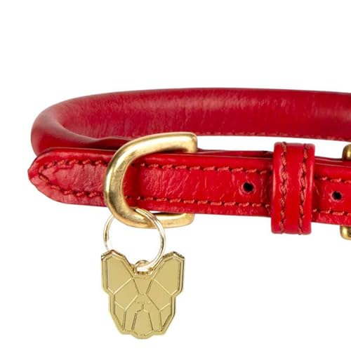 Digby & Fox- Hundehalsband, Aufgerolltes Leder, Schnalle (XXL- Neckline: 65 cm- 70 cm) (Petrol)-6