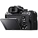 Sony a7III Full Frame Mirrorless Interchangeable Lens Camera Body Bundle with 28-75mm F/2.8 Di III RXD Full Frame E-Mount Lens, 64GB Memory Card, Bag, Flash, Monopod and Accessories (5 Items)
