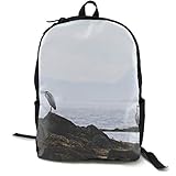 Perfekt für Jugendliche und Kinder. Es ist nicht nur eine Schultasche, sondern auch ein Reiserucksack. Ein tolles Weihnachts- und Geburtstagsgeschenk für Kinder.