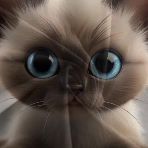 Housse de couette chat 140x200抗皱速干被套三件套微纤维拉链款