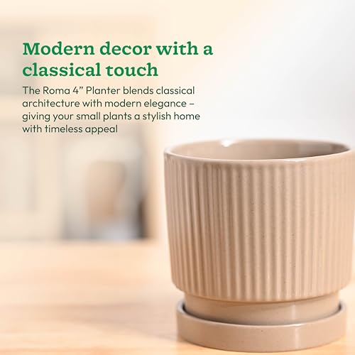 Image of UGAOO Roma Ceramic Pot for Indoor Plants, 4 Inch - Curtain Brown