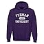 Furman University Paladins Purple
