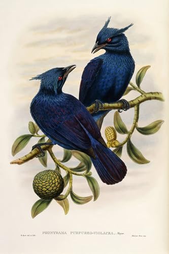 Tableau oiseau violet 60x90cm pour habiller un grand mur vide