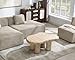 DAYALANE Modern Stone Cloud Coffee Table - Accent Organic-Shaped Tabletop with Marble Finish, Cloud Sofa Center Table for Living Room/Bedroom/Office (Onyx White)