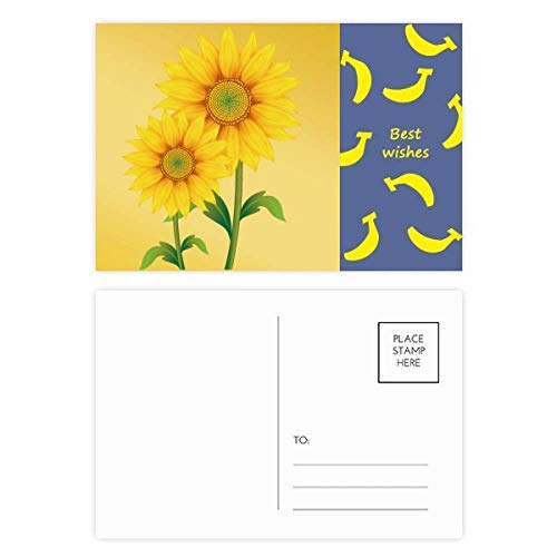 Fleur plante banane carte postale en lot de 20 pour écrire un mot doux