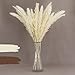 Produktbild MIRAMAY® Pampasgras getrocknet weiß 20x Trockenblumen Hochzeitsdeko Boho Deko Wohnzimmer Deko weiß Vasen Deko Pampas fluffig Trockengräser Trockenblumenstrauß Dried Flowers