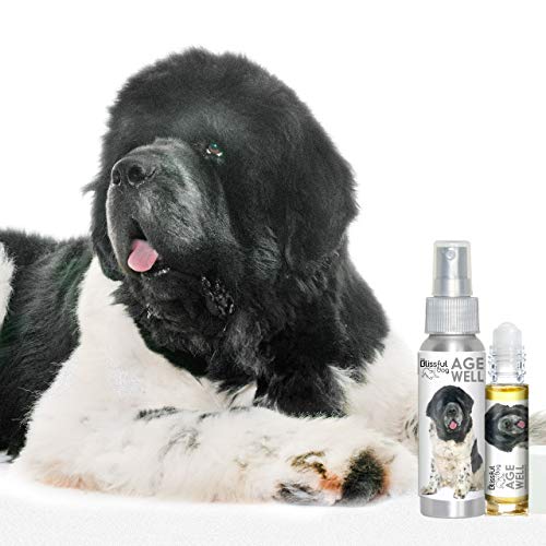Image of The Blissful Dog Newfoundland Age Well Spray Aromatherapy