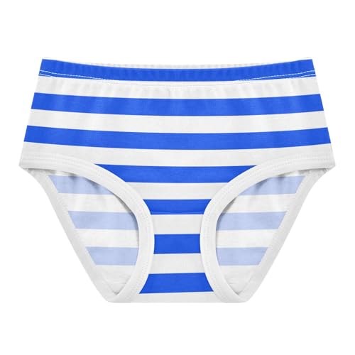 White Blue Stripe Toddler Girls's Underwear 2T