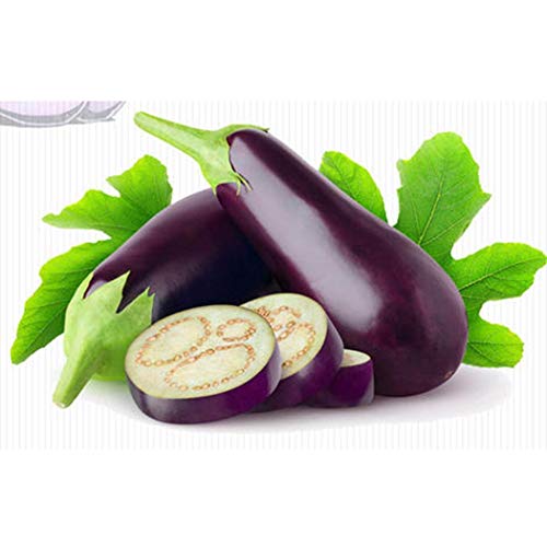 Bravet Vegetable Seeds - 200pcs Eggplant Seeds Organic Vegetable Rich In Vitamin Mixed Eggplant Seeds for Home Garden