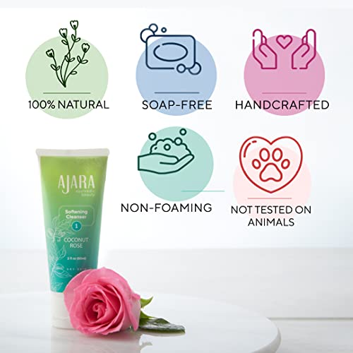 The Ayurveda Experience Coconut Rose Softening Cleanser – 100% Natural Moisturizing Face Cleanser With Real Crushed Coconut – Gentle, Creamy Face Cleanser For Extra Dry, Mature Skin – 2 Fl Oz #TOP3