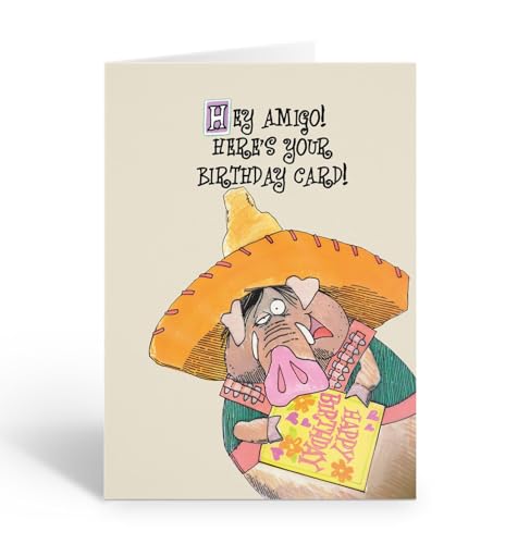 Stonehouse Collection Southwestern Desert Birthday Card – Cowboy Javelina – “Hey Amigo!” Funny Greeting –Single Card Includes Envelope – Made in the USA (Javalina)