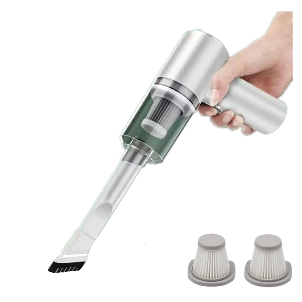 Aspirateur à main léger contre les poils d'animaux avec moteur silencieux USB