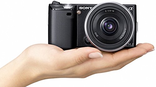 Amazon.co.jp: ソニー デジタル一眼α NEX-5 薄型広角レンズキット  