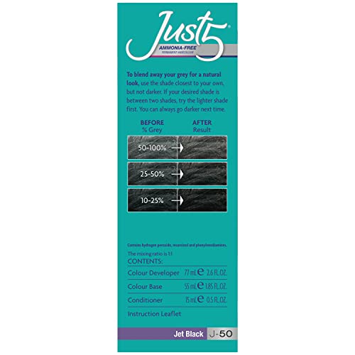 Just 5 Women's 5 Minute Permanent Hair Color With Conditioner, Grey Hair Coloring For Women - Jet Black #TOP3