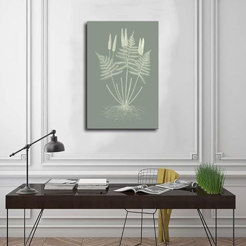 Poster botanique fougère vert sauge idée cadeau déco petit format