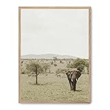 AlexandreHouse Cuadro elephant in the savana ii_FASE5