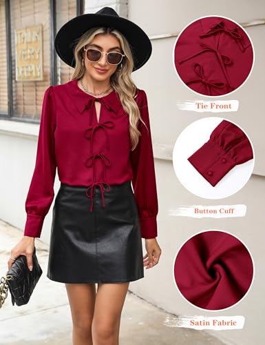 Blooming Jelly Women's Dressy Casual Blouses Business Work Tops Tie Front Long Sleeve Shirts 2025 Fall Outfits2