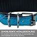 FAVPET Luxus Echtleder Windhund Halsband Breit mit QR Code Anhänger, Weiches Lederhalsband Hund Breit Whippet Italienisches Windspiel Saluki Lurcher Spanischer Galgo Greyhound Podenco (Blau, S)