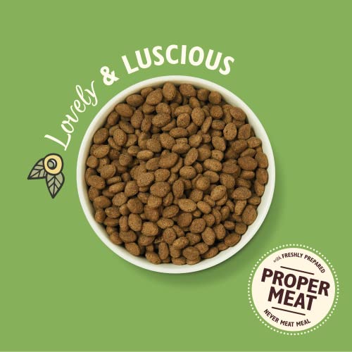 Lily's Kitchen Lamb Shepherd's Pie - Grain Free Adult Dry Dog Food (2.5 kg) - Image 5