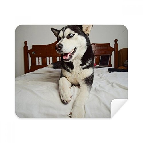 Chiffon nettoyant husky en suède pour écran et lunettes x2