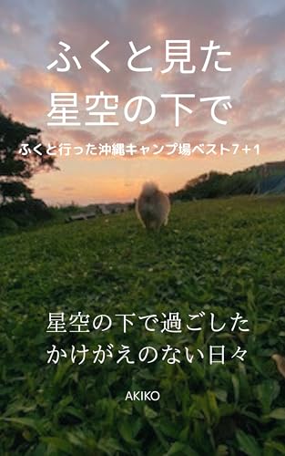 ふくと星空の下で: ふくと行った沖縄キャンプ場ベスト7+1