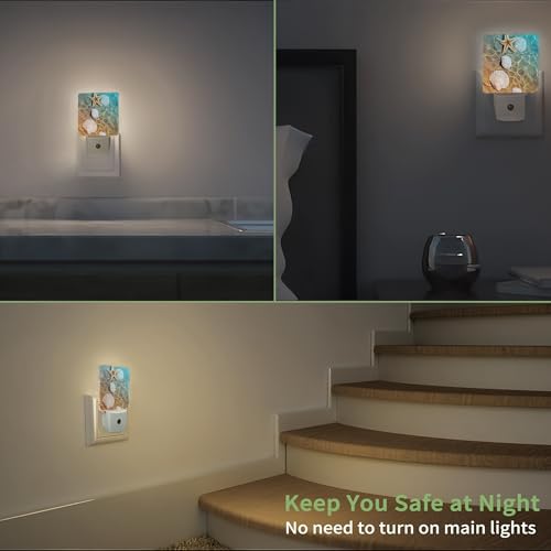 Image of Starfish Seashell on Beach Night Light, Summmer Beach Night Light Plug into Wall with Dusk to Dawn Sensor, LED Lamp Energy Saving Lights for Men Women Boys Girls,Lamp for Bedroom Bathroom Hallway