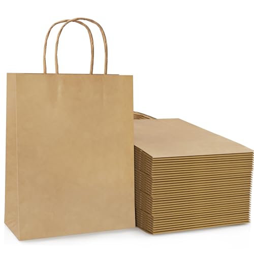 30 Pcs Brown Paper Party Bags with Twist Handles