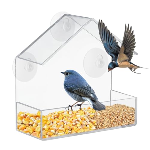 Mangeoire pour Oiseaux 15x15x6cm Mangeoire à Oiseaux pour Fenêtres Mangeoires à Fenêtre Acrylique Transparent Émangeoire de Fenêtre Transparent avec 3 Ventouses