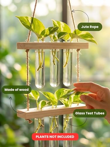 Image of 2 Tier Hanging Planter with Wooden Holder & Rope | 6 Test Tube Hanging Plant Indoor Stand | Wooden Planter for Home Decor, Living Room, Balcony & Office Decoration