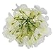 Flojery Silk Hydrangea Heads Artificial Flowers Heads with Stems for Home Wedding Decor,Pack of 10 (Ivory)