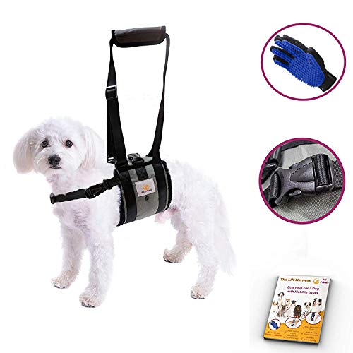 Veterinarian Approved Dog Support Harness + Hair Remover Glove - Dogs Sling Lift