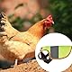 Huhn Weste,YouXiaor 2 Stück Hühnersattel Wasserdichte Hühnersattel-Sicherheitsweste für Hühner Pet Reflective Vest Huhn Henne Sattel Schürze für Haustiere geeignet für Enten Hühner Gänse Geflügel