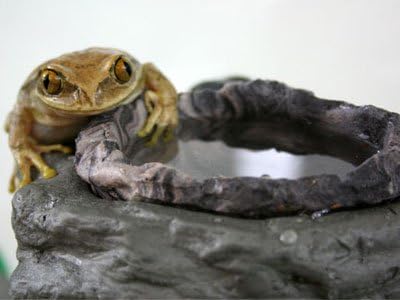 Food & Water Ledge Granite - Magnetic Decor