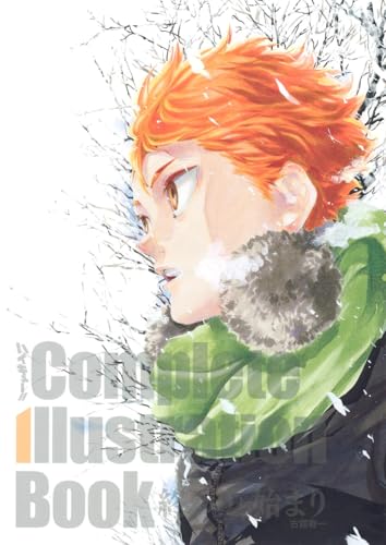 HAIKYU !! COMPLETE ILLUSTRATION BOOK (ARTBOOK VO JAPONAIS) image 2