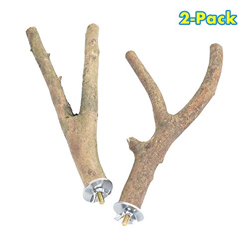 GNB PET 2 Pack Bird Perch Parrot Natural Wood Fork Stand Perch