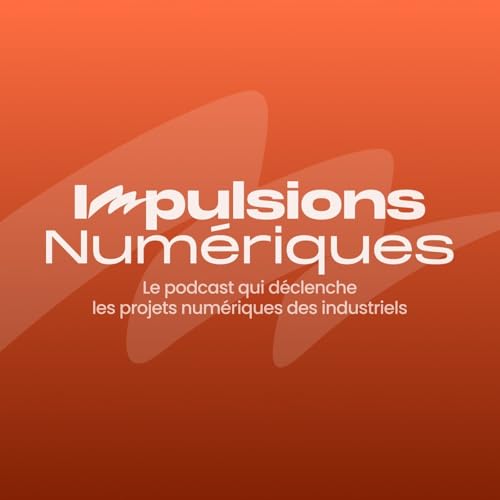 Couverture de Impulsions Num&eacute;riques