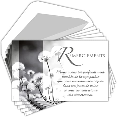 Afie C5264 Pack of 5 Thank You Cards 135 x 85 mm with 5 White Envelopes - Dandelion Flowers, yellow, Lot de 5