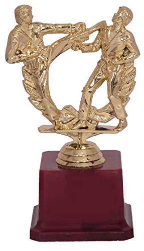 Be Win Trophies Fiber Golden Karate Trophy (B08256J82K) Amazon Price History, Amazon Price Tracker