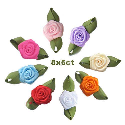 HipGirl 40pc (8x5pc) 5/8