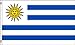 Uruguay 3x5 ft polyester Flag