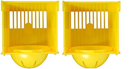 TAIYO PLUSS DISCOVERY® Finch BREEDING Box/Finch NEST Box/Suitable for Finches, Canary/Imported Pack of 2/ Color Yellow/Size: (13X13X15) (LXWXH) (B08B697R96) Amazon Price History, Amazon Price Tracker