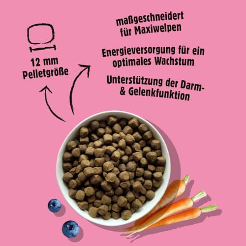 Fellows Großer Chaot Trockenfutter für heranwachsende Hunde – Speziell für Welpen großer Rassen, mit Insektenprotein, Krill und Ei, fördert gesundes Wachstum (500 g)