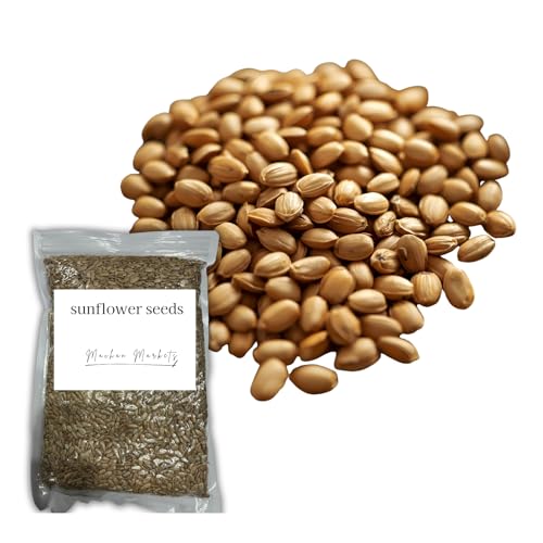 fĂ Ђ܂̎ Hp AJY 500 Wbp[^Cv