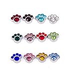 Cherityne Pack of (12) Birthstone Dog/Cat Paw Floating Charm for Locket Pendants