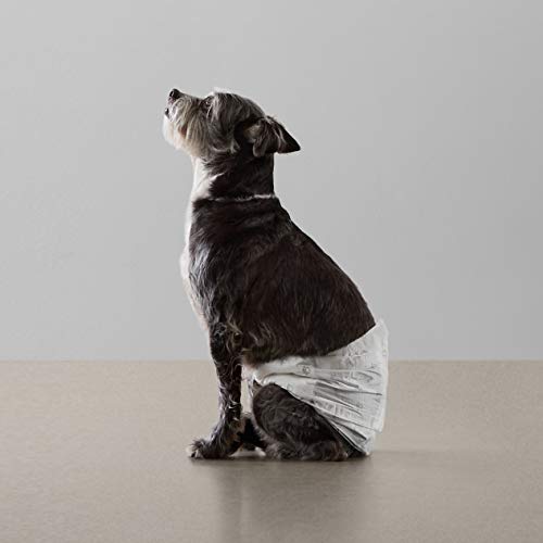 Amazon Basics Hundewindel für Rüden, Einwegwindeln, Größe S, Weiß, 30 Stück