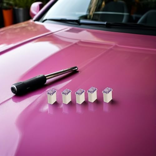 Micro fusibles de coche Cabilock para evitar averías por sobrecarga en vehículos 5
