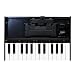 Roland, 25-Key Portable Keyboard (K-25M)