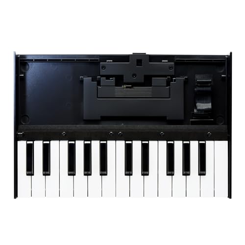 Roland K-25M Boutique Module Dock USB MIDI Keyboard, 12 inch...