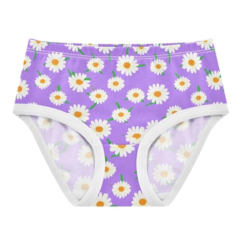 Toddler Girls Underwear 2t Cotton Panties Little Girl Animal Briefs Underpants White Daisies Purple